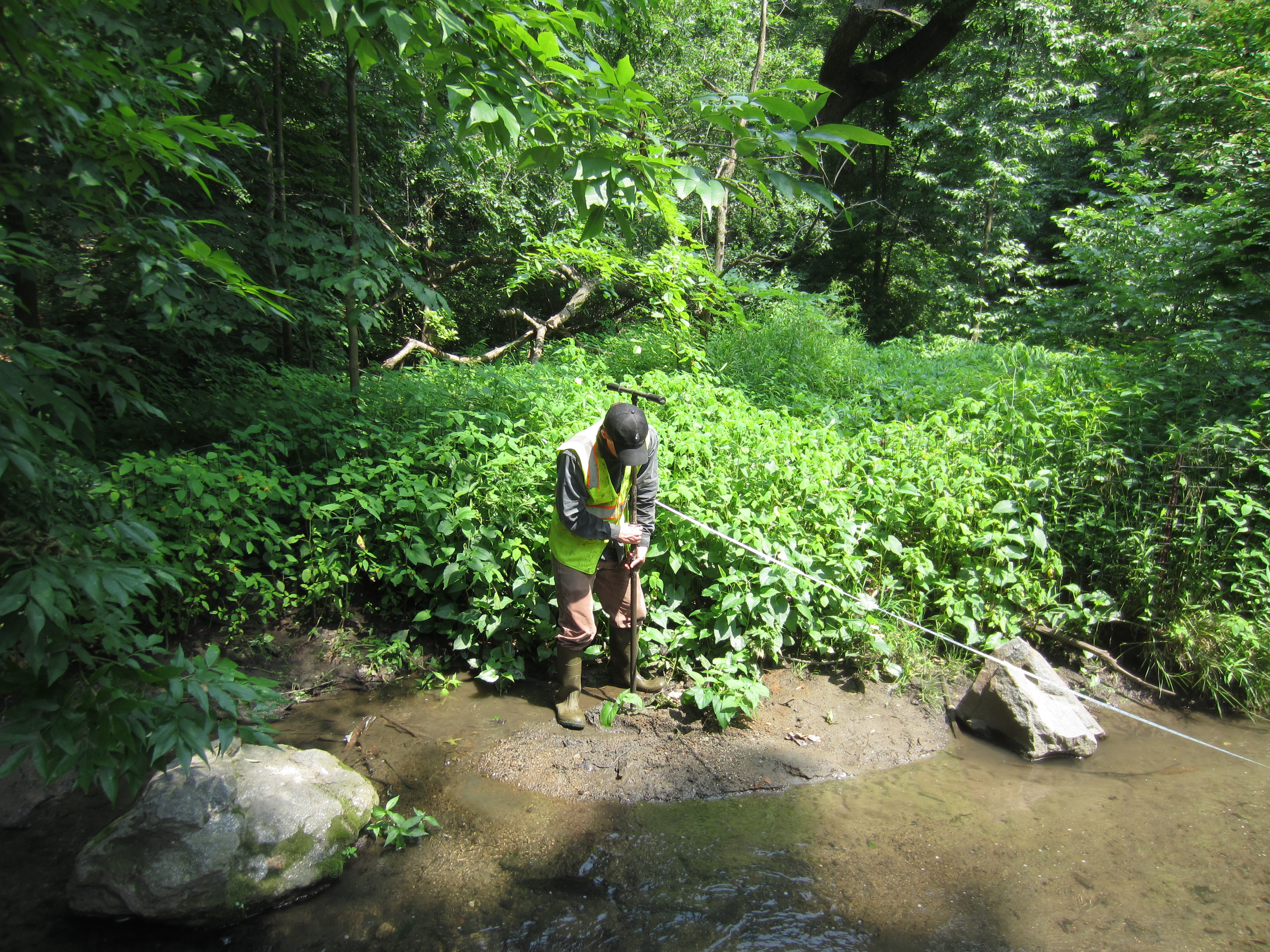 A person wearing a safety vest performing a sediment core on a creekbank