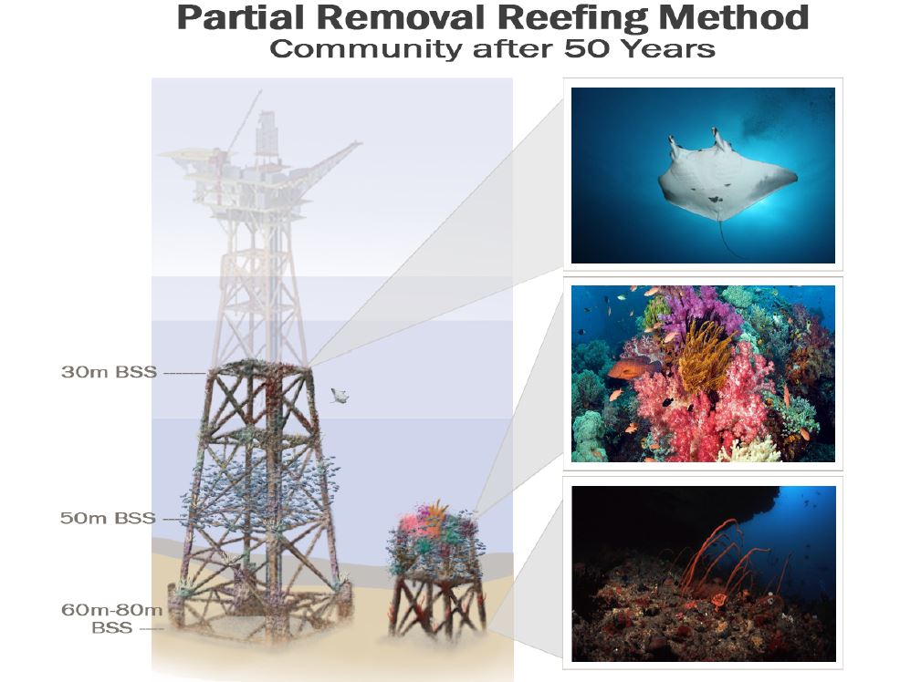 Graphic and photos showing the progression of reef growth after 50 years on a former oil platform using the Partial Removal method