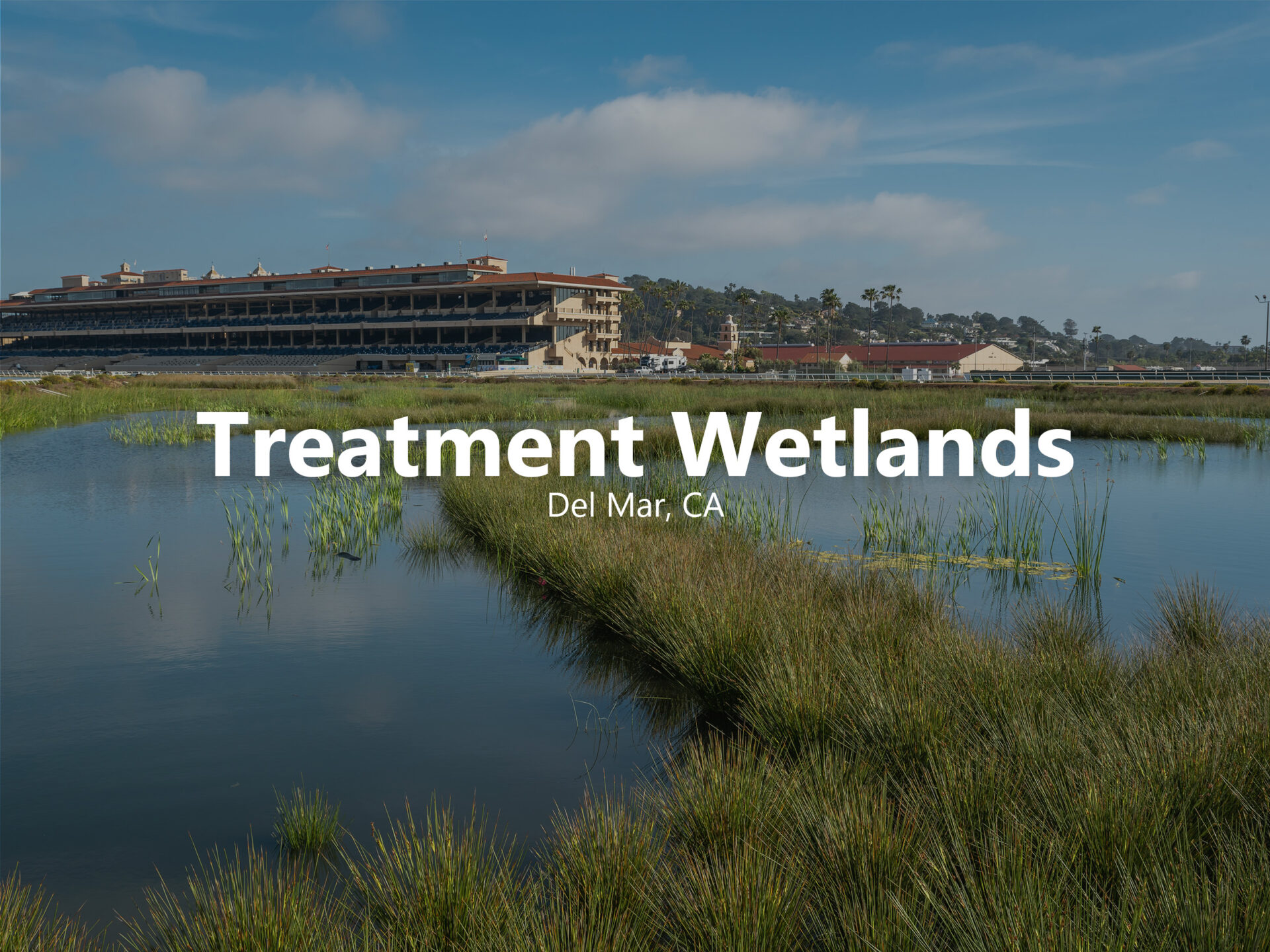 Del Mar Treatment Hover