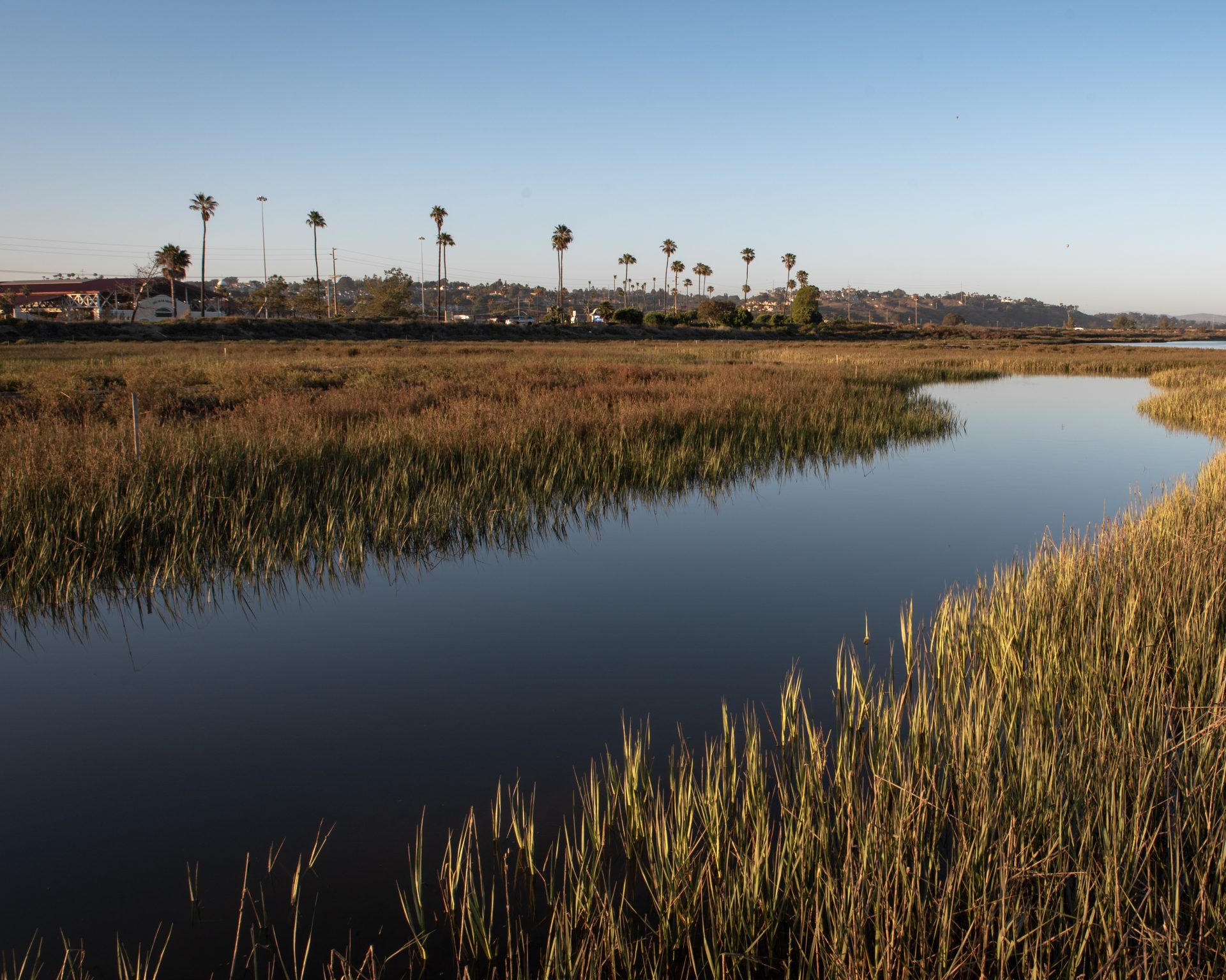 San Dieguito Lagoon Wetland Restoration