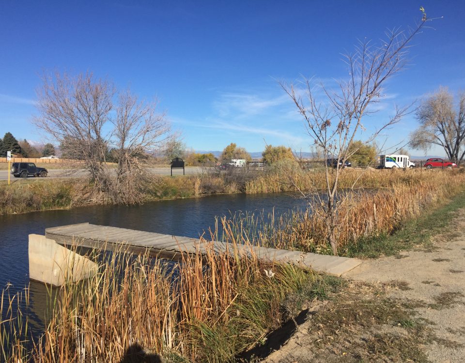pond on the side of a road with a wooden dock