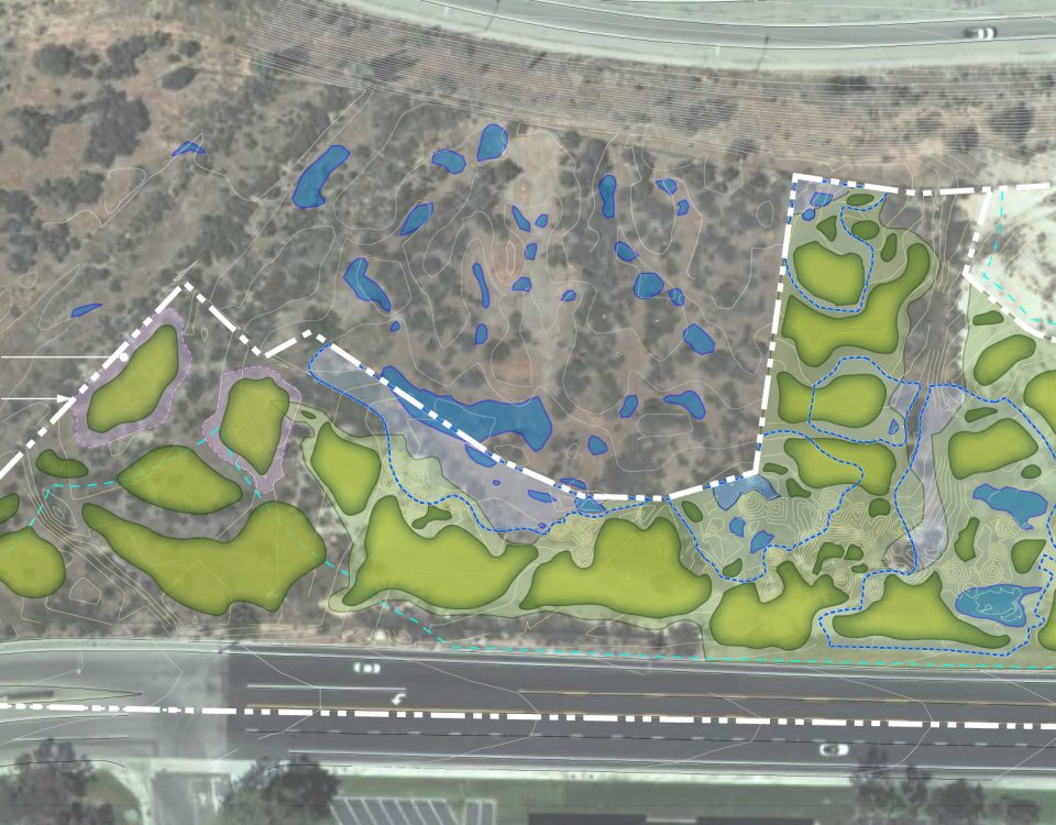 Conceptual plan of vernal pool restoration