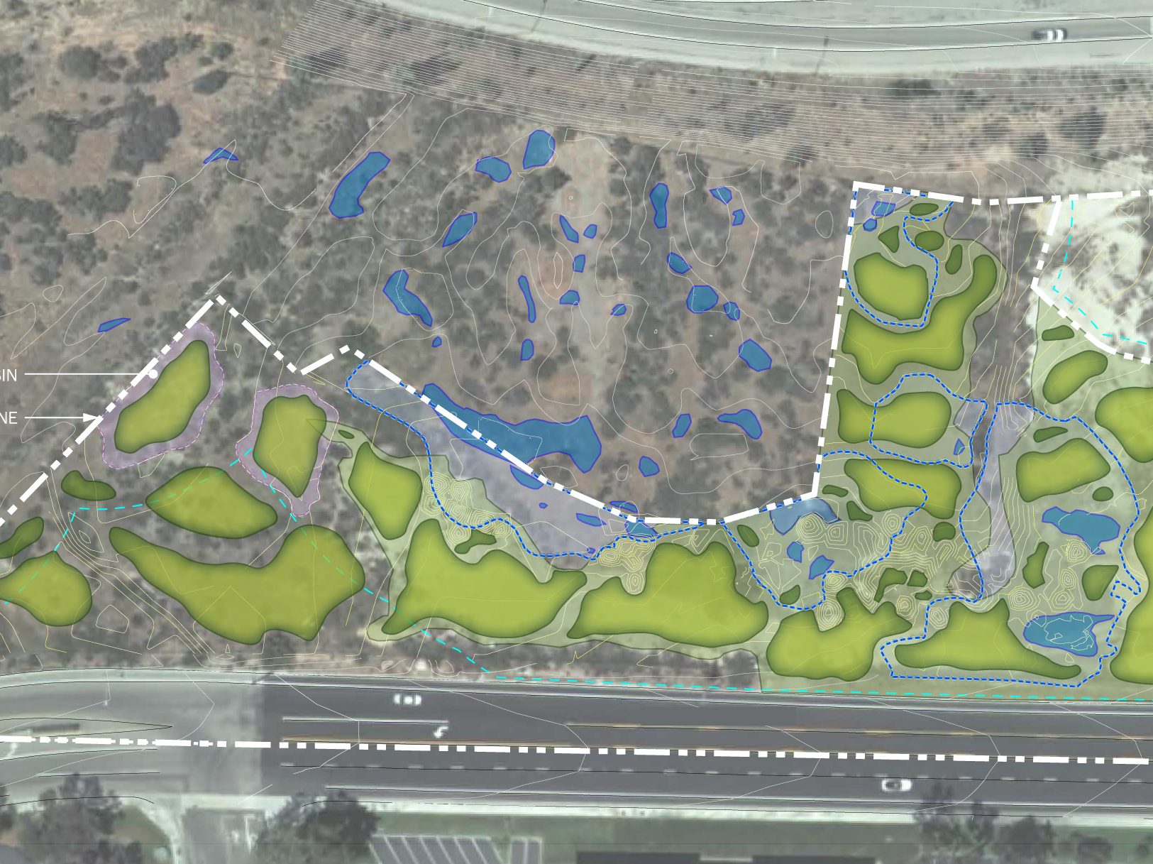 Conceptual plan of vernal pool restoration