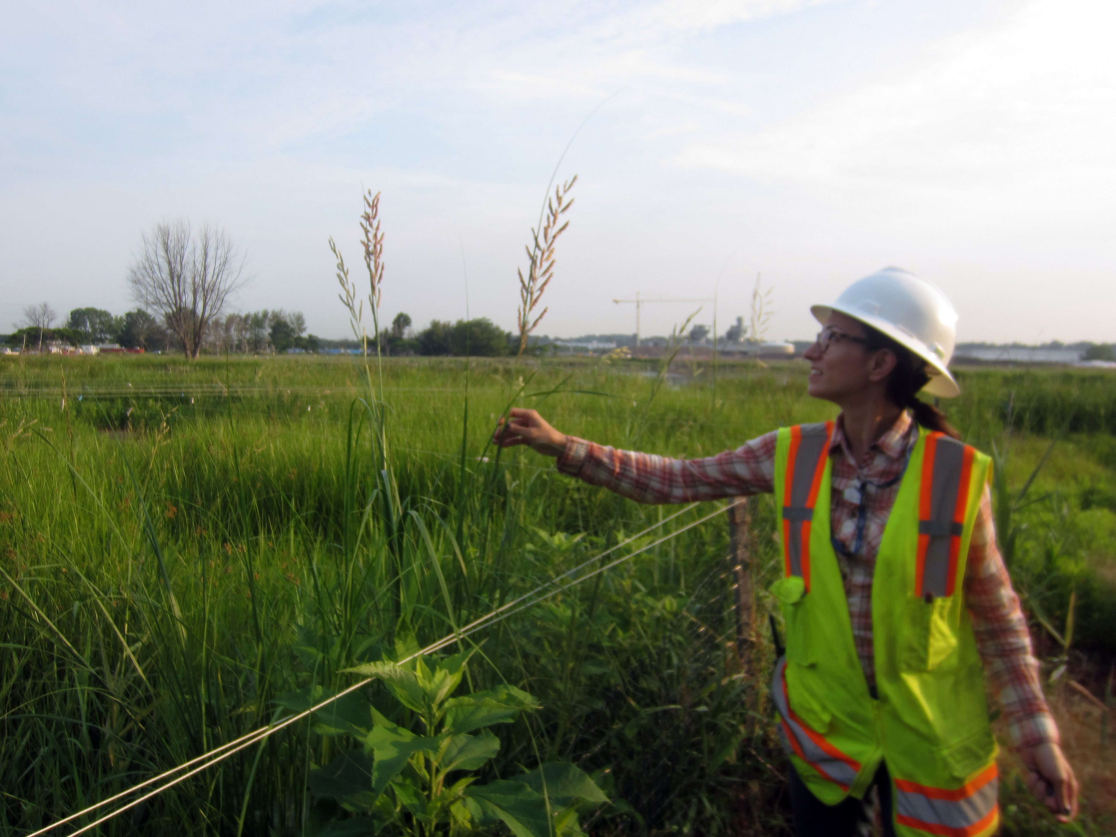 woman in high visibility vest and plaid shirt examininng a plant