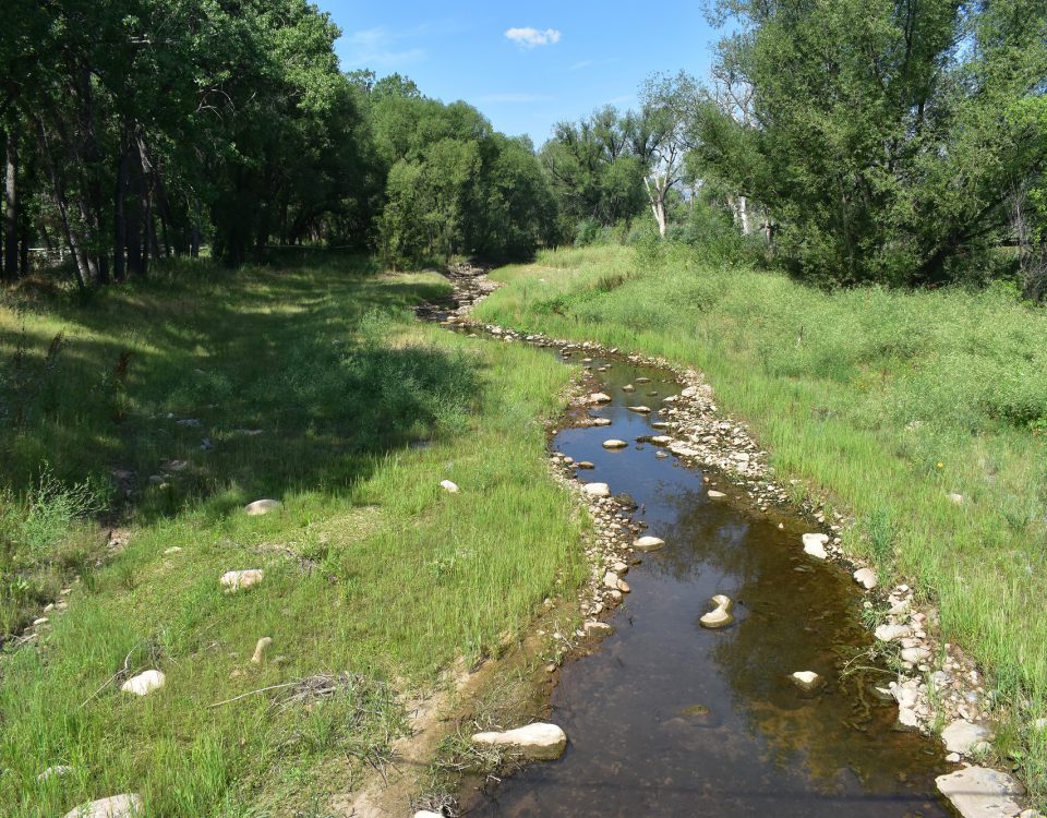Restoration of a creek at Year 1, which includes shoreline stabilization features and grasses