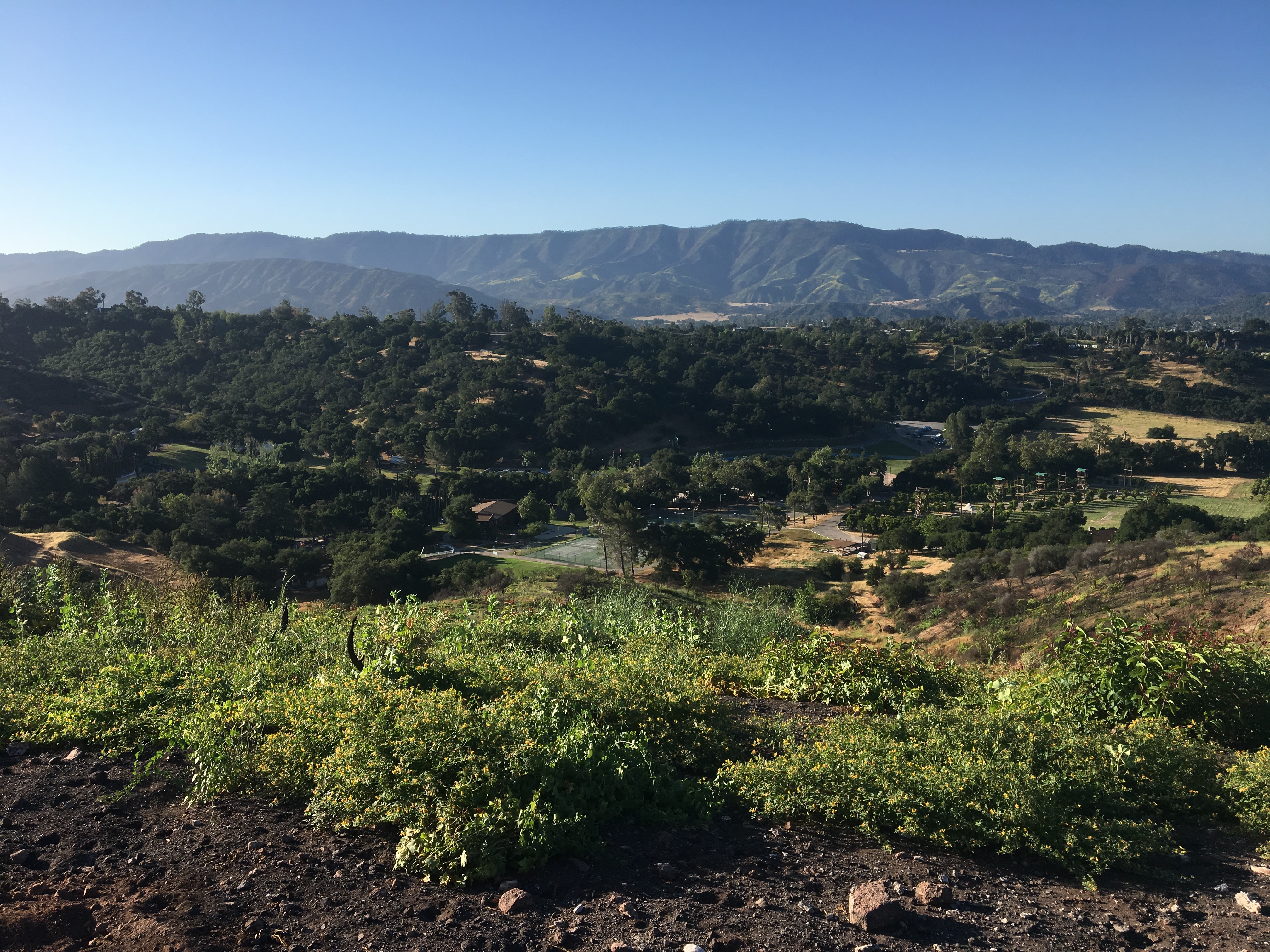picture from top of a hill looking down into a forrested valley