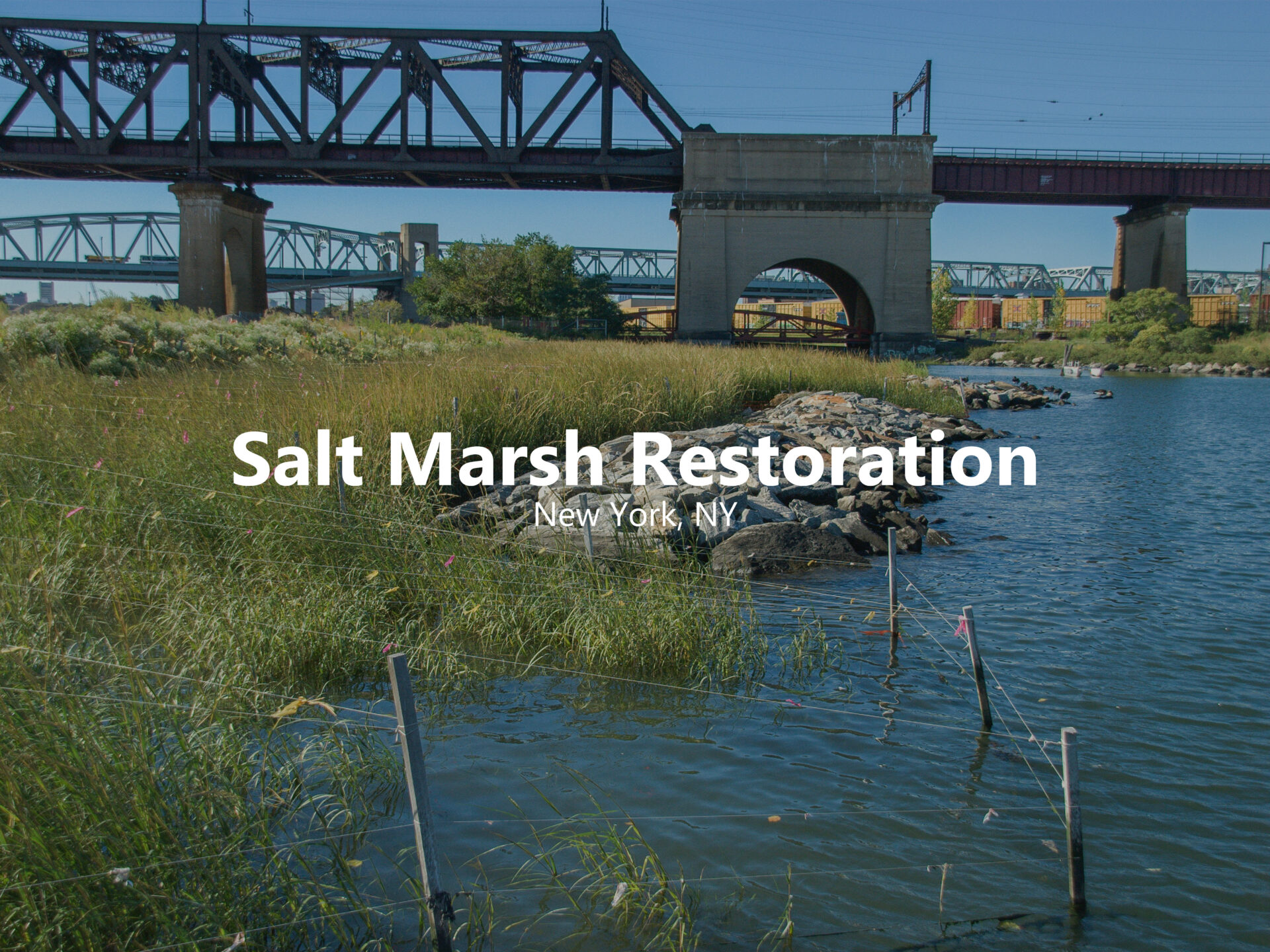 Randalls Island Hover