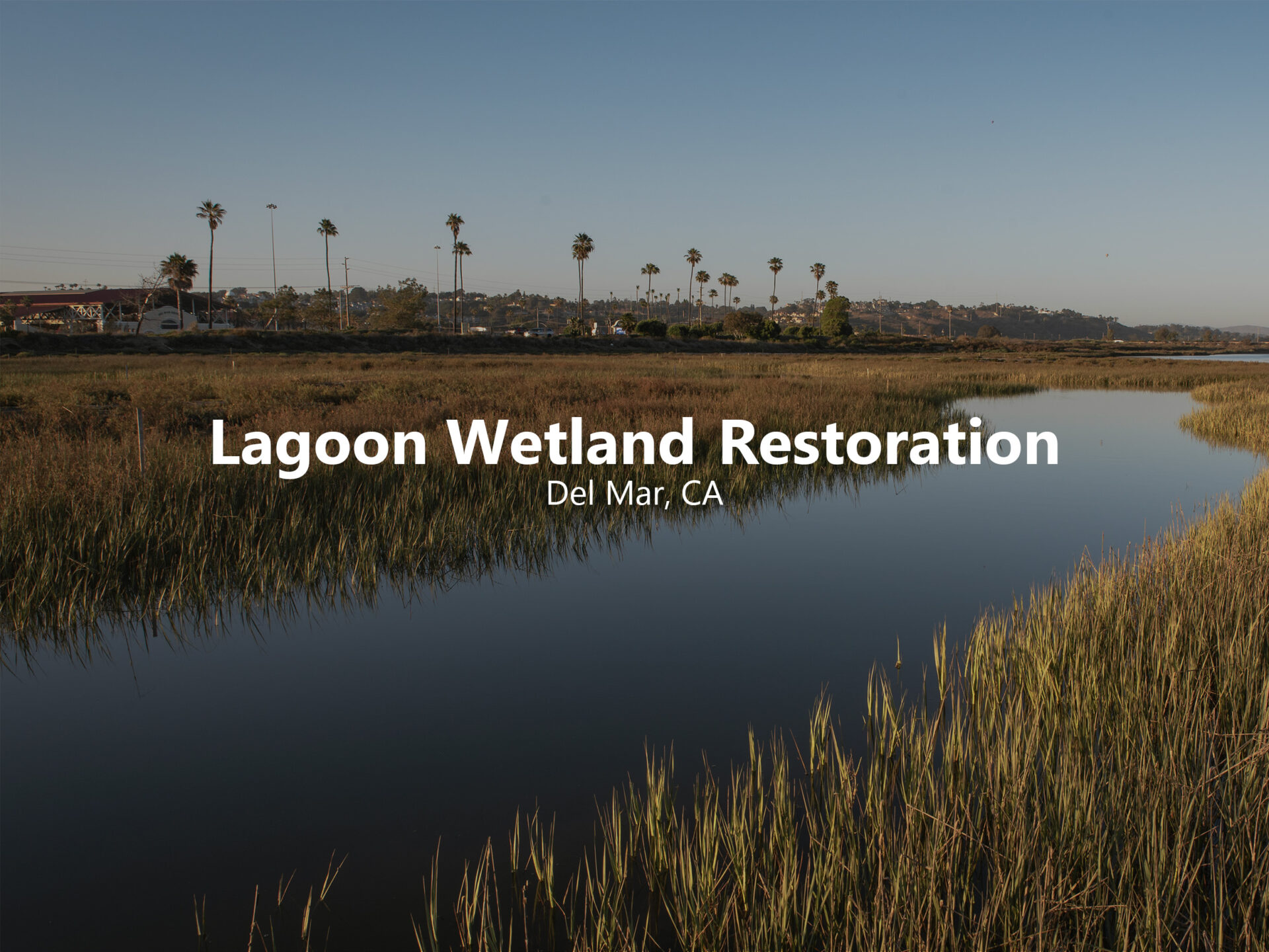 San Dieguito Lagoon Hover