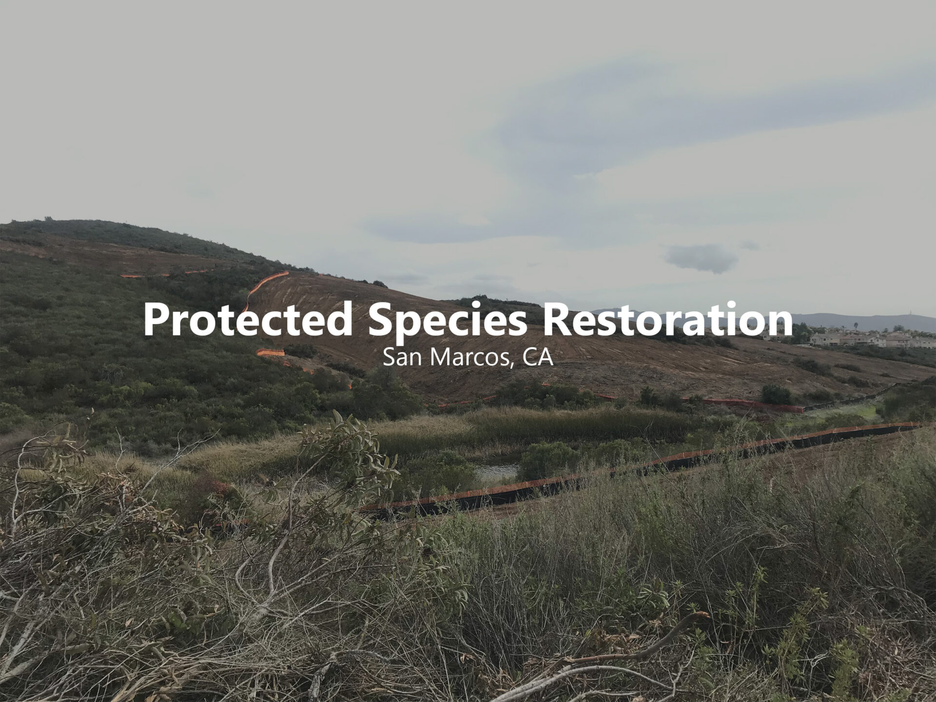 San Marcos Highlands Hover