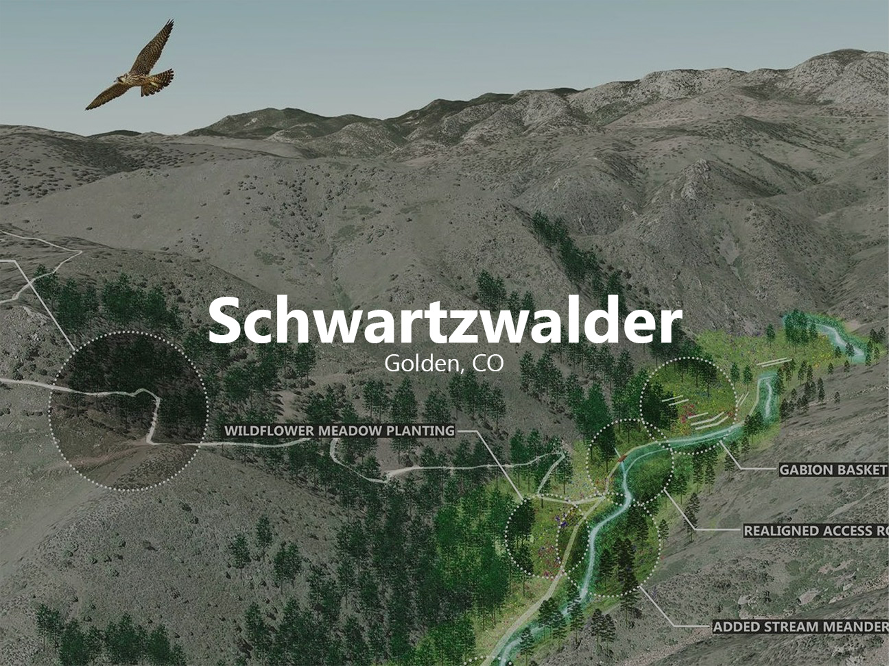 Schwartzwalder Hover