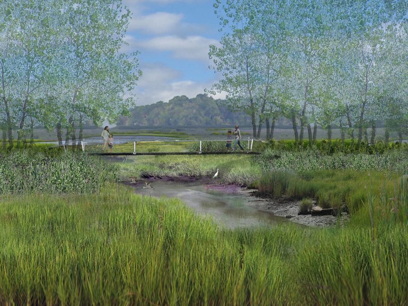 rendering showing a wood bridge over a creek in a wetland