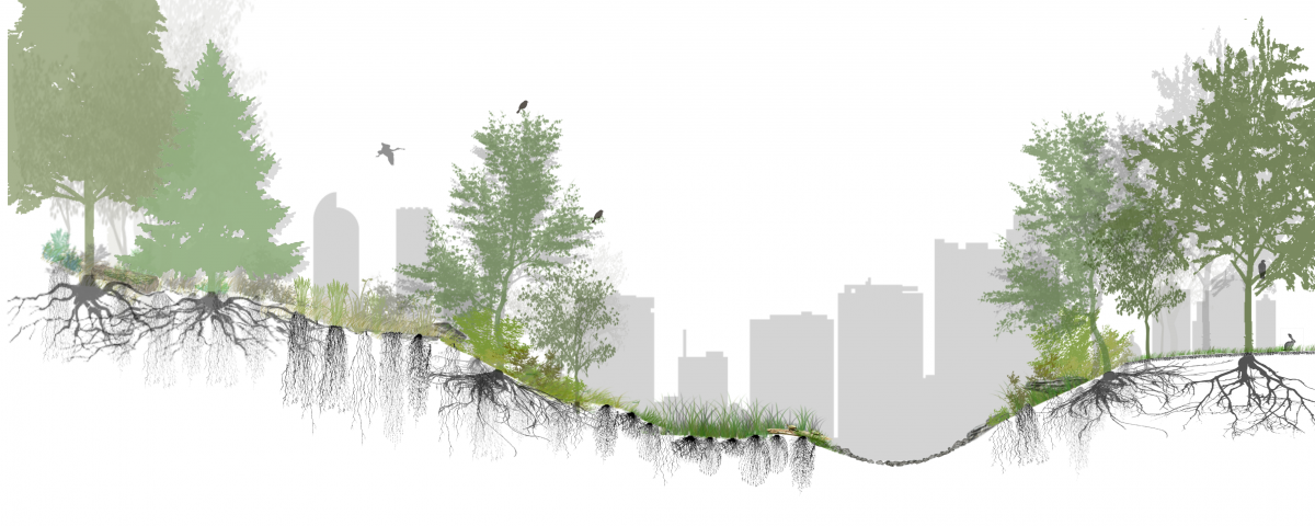 Visual of Landscape Typology, illustratinign how different ecosystems offer different functions