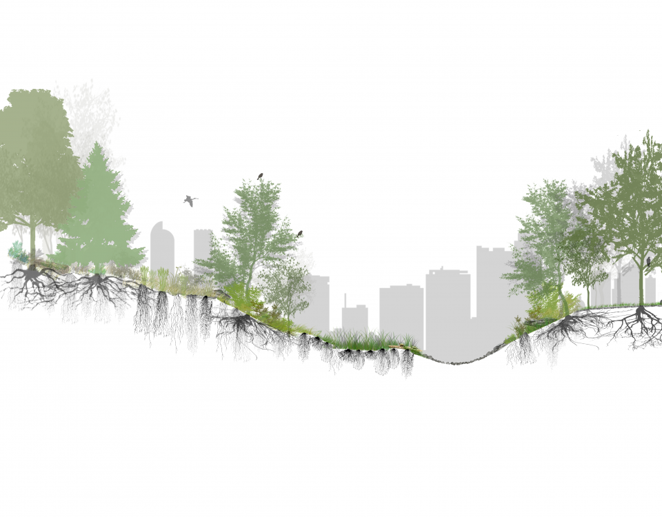 Visual of Landscape Typology, illustratinign how different ecosystems offer different functions